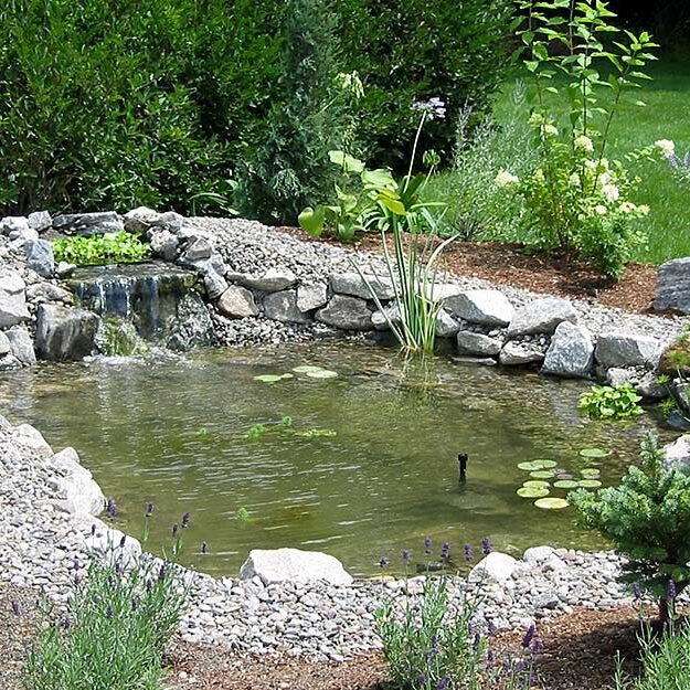 pond1